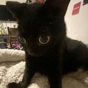 Meet your Posher, Mann